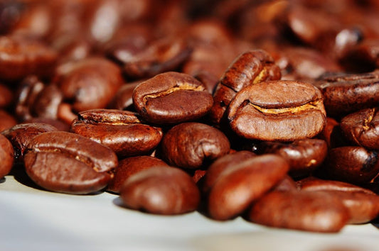 Caffè arabica: notizie sul caffè più diffuso al mondo - Costiera Caffè & Design 