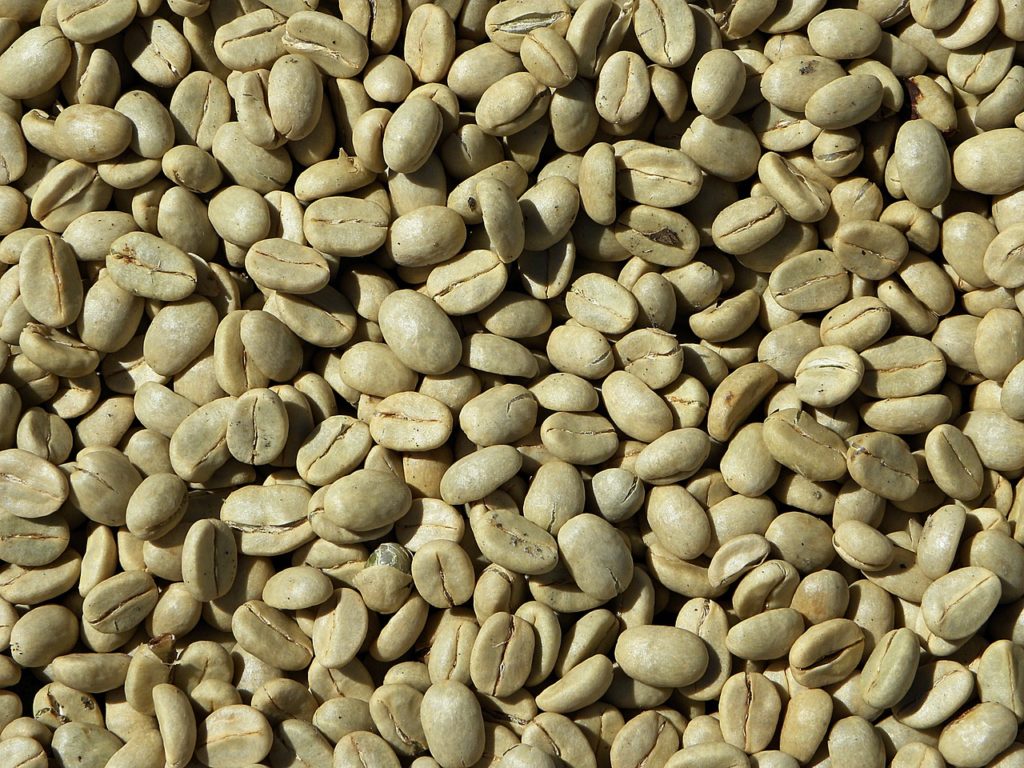 Arabica e Robusta: differenze tra gli antagonisti del mondo del caffè - Costiera Caffè & Design 